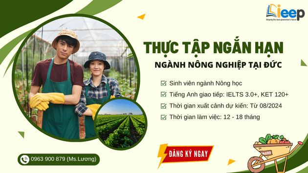 Thực tập nghề đức.png